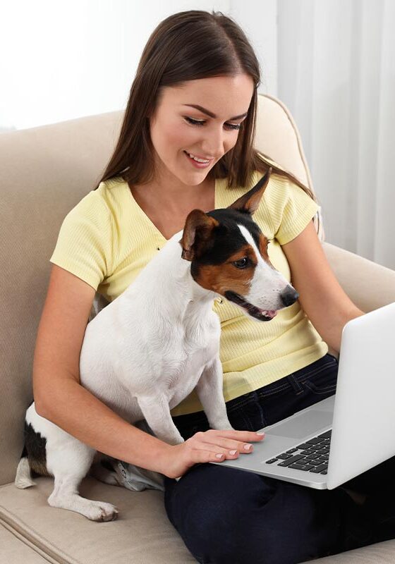 Happy Woman With Jack Russell Terrier On Laptop