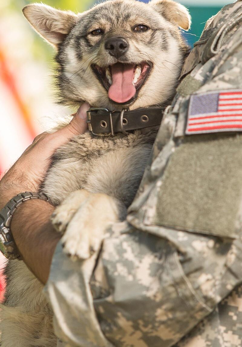 Veteran Wearing Fatigues Holding Dog Outside